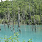 Hokkaido Blue Pond